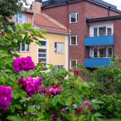 Minuthandlaren_DSC2107