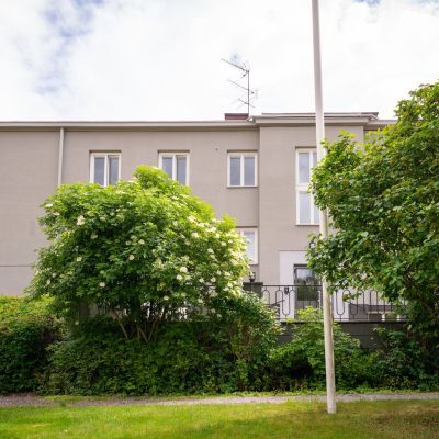 Stenhuggaren_DSC2163